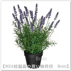 ＩＫＥＡ/イケア　FEJKA/フェイカ　人工観葉植物48cm　ラベンダー ライラック(906.176.92/90617692)