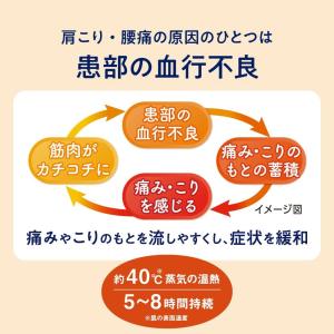 2個セット めぐりズム 蒸気の温熱シート 16枚入の詳細画像4