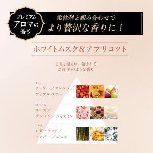 6個セット レノア オードリュクス [新モデル...の詳細画像2