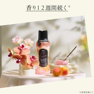 6個セット レノア オードリュクス [新モデル...の詳細画像3
