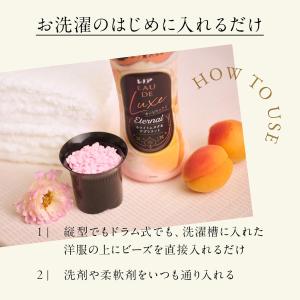 6個セット レノア オードリュクス [新モデル...の詳細画像4