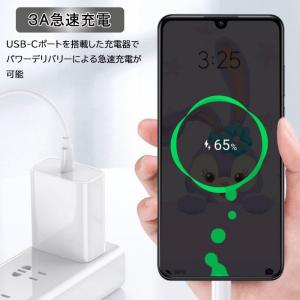 クーポンで2本目半額! Type-C to T...の詳細画像3