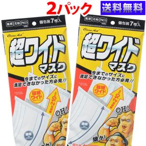 大きい不織布 マスク 男性 210×90mm 超ワイド クリーンエイド 個包装7枚入×2袋