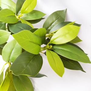 枯れないしきみ 2本組セット 屋内用 1対 コ...の詳細画像4