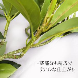枯れないしきみ 2本組セット 屋内用 1対 コ...の詳細画像5