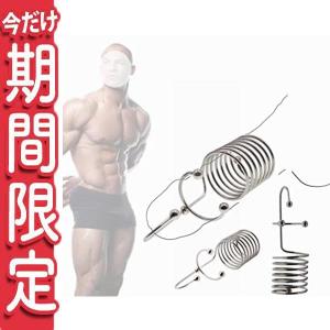 sm拘束器 金属 コックプラグ ペニスプラグ 尿道プラグ