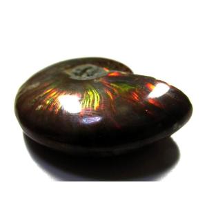 アンモナイト 宝石の商品一覧 通販 Yahoo ショッピング