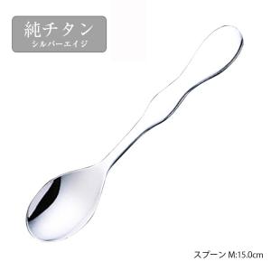 カトラリー スプーン シルバーエイジ 20-20ステンレス スプーンM