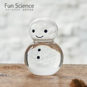 Fun Science（ファン・サイエンス） インテリア小物 置物 ストーム
