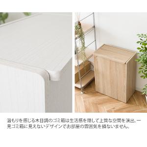 ゴミ箱 45リットル 木製 キッチンペールスト...の詳細画像4