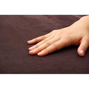 撥水 ラグマット/絨毯 〔ブラウン 約200×...の詳細画像3
