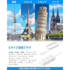 変換プラグ Cタイプ 韓国 コンセント 海外旅...の詳細画像3