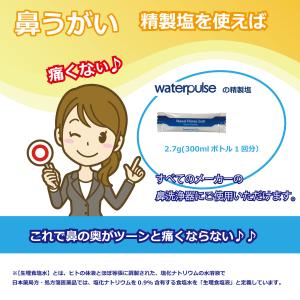 精製塩 2.7g×30包= 30回分 300m...の詳細画像1