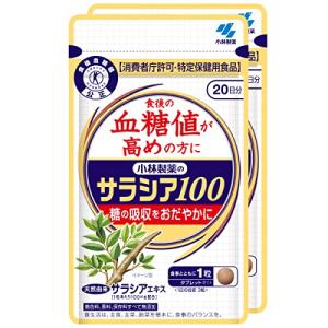 【まとめ買い】小林製薬のサラシア100 食後の血糖値が高めの方に 約20日分 60粒×2個 【特定保健用食品】｜shop-fiore