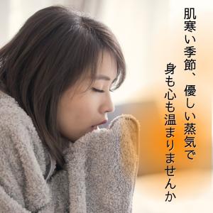 Salofix ホット&スチームパッド...の詳細画像1
