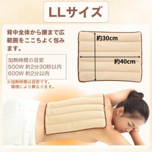 Salofix ホット&スチームパッド...の詳細画像5
