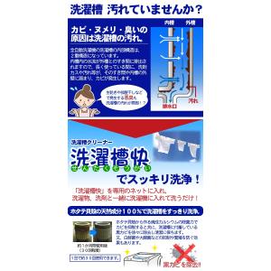 洗濯漕クリーナー 洗濯槽快 分包タイプ 30包...の詳細画像3