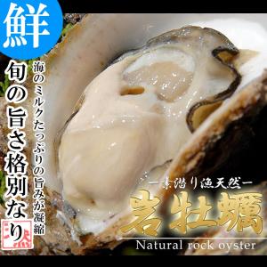天然活き岩牡蠣 特大 2〜4個（約1kg）大分県産 カキ