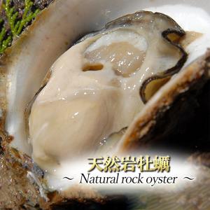 大分県産 天然 活き 岩牡蠣 5〜10個 約2kg 加熱用  冷蔵