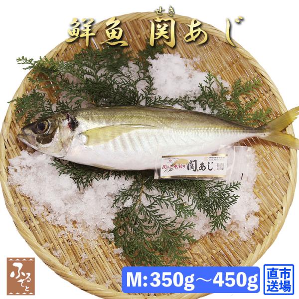 【 父の日 早割 】 鮮魚 直送 一本釣り 活け締め 大分 関アジ 約400g 村田水産 大分市 公...