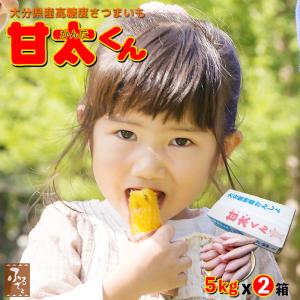 予約 12月下旬頃】 高糖度 さつまいも 甘太くん 5kg x1箱 秀品 大分県