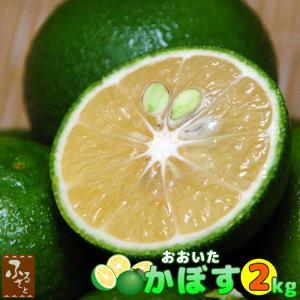 大分 かぼす カボス 大分県 竹田市産 露地栽培 2kg（10月中旬頃〜黄カボス