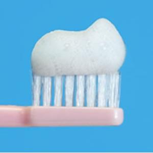 歯科用 歯磨き粉デント EX チェックアップ ...の詳細画像1