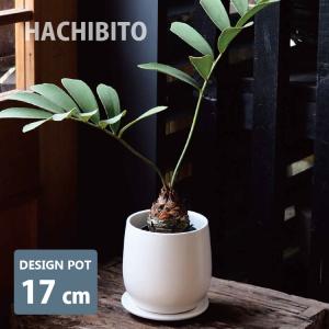 Laura Ashleyローラアシュレイキューブライトプランター［ホワイト