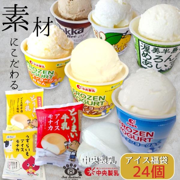 中央製乳 ご当地アイスの福袋 24個 詰め合わせ 送料無料