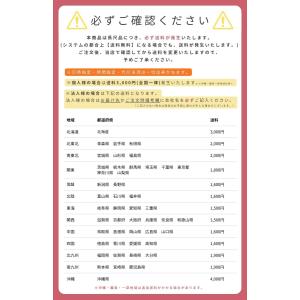 ロイヤル チャンネルサポート棚柱 ASF-1ク...の詳細画像3