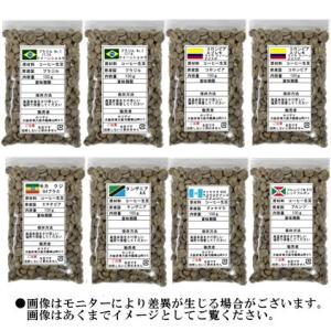 6種類生豆お試しセット（メール便可）