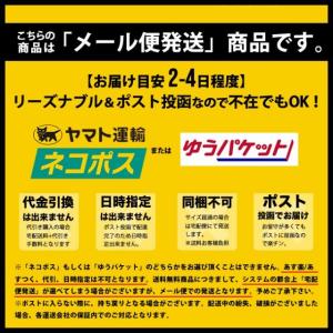 【最大P40倍!!25日はボーナスデー!!】ラ...の詳細画像2