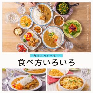 お試しレトルトカレーセット 2種10個入 ポー...の詳細画像1