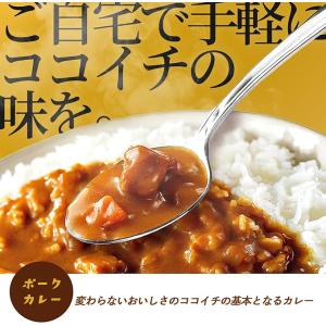 ポークカレー 2個入 カレー レトルト レトル...の詳細画像2