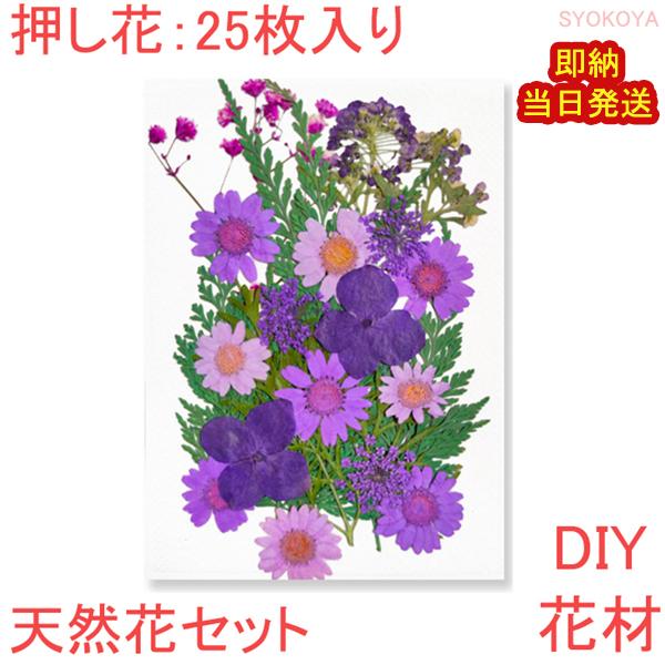 【48h限定999→555円】押し花セット 即納 ハンドメイド デコパーツ 押し花アート ドライフラ...