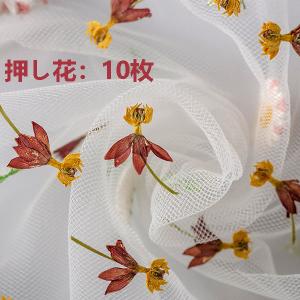 茶道具 花入 置用 信楽焼 耳付 上田光春作 古来窯 置き花入 置花入