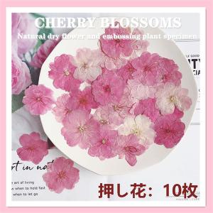 押し花 天然花 天然色 桜 ハンドメイド デコパーツ