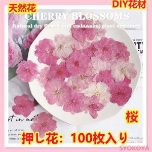 押し花 天然花 天然色 桜 ハンドメイド デコパーツ