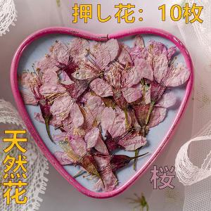天然花 押し花 ハンドメイド デコパーツ スマホケース装飾