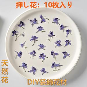 天然花 押し花 ハンドメイド デコパーツ ドライフラワー 装飾 天然色 DIY ネイル フラワーネイル 化粧 顔飾り 乾燥花 花材 アクセサリーパーツ 小分け 少量 10枚｜shop-info1