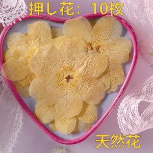 押し花 天然花 ハンドメイド デコパーツ ドライフラワー 天然色 DIY 装飾 顔飾り 化粧 スマホケース装飾 レジン 乾燥花 花材 アクセサリーパーツ 小分け 10枚