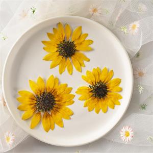 押し花 天然花 ハンドメイド デコパーツ ドライフラワー