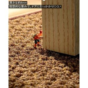 おしゃれな玄関マット 7サイズ 玄関マット 屋...の詳細画像2