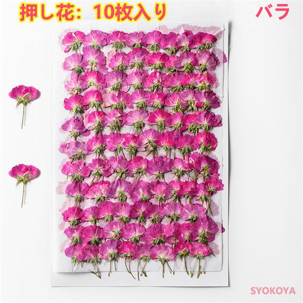 【48h限定630→480円】押し花 バラ 天然花 ハンドメイド デコパーツ 押し花アート レジン ...