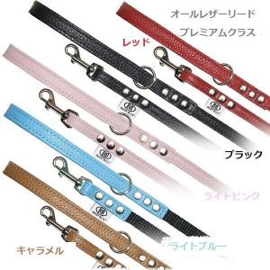 BBエメラルドグリーン アクセントリード サイズS犬用 リード 正規品