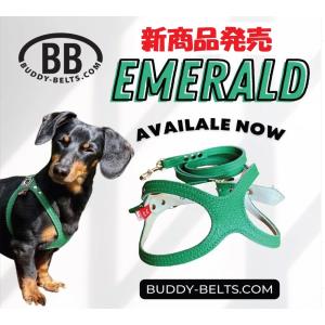 バディベルト3.5号 エメラルドグリーンハーネス【スワロフスキー
