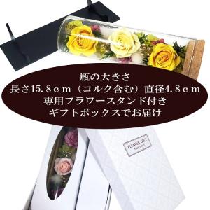 プリザーブドフラワー アクリルスタンド付きドー...の詳細画像5