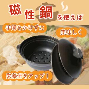 磁性鍋 鍋 電子レンジ 電子レンジ専用調理器 ...の詳細画像1