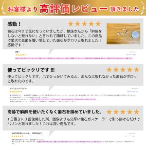 犬 歯磨き 犬歯ブラシ 犬 歯石取り マジック...の詳細画像2