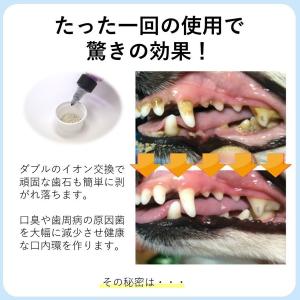 犬の歯石取りスケーラーの商品一覧 通販 Yahoo ショッピング